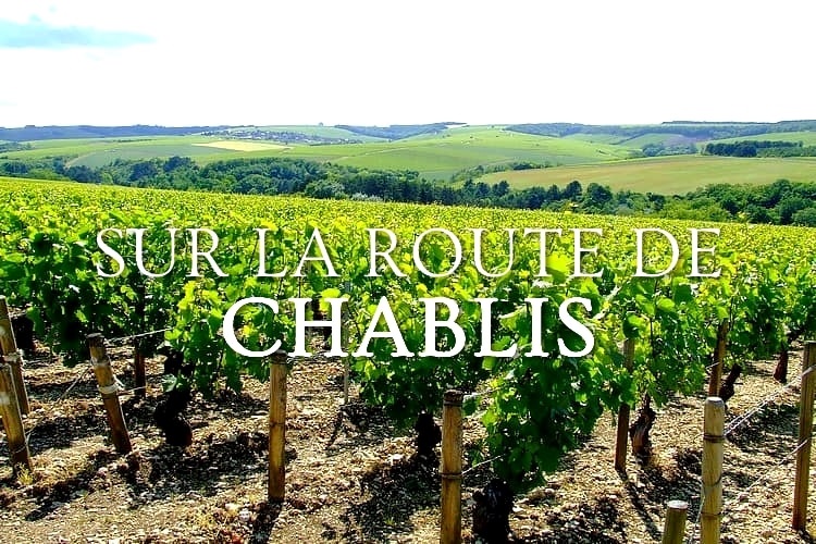 Route des vins de Chablis  Audioguide Historique