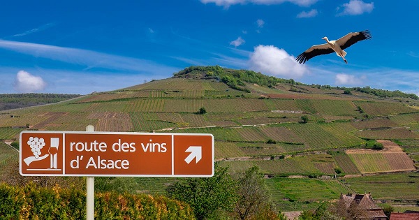 Carte Routes des vins d'Alsace en voiture Audioguide Historique