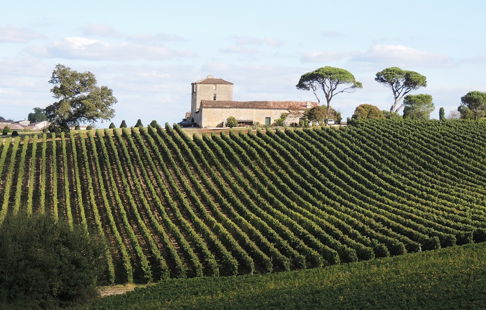 Route des vins de l'Entre-Deux-Mers en voiture