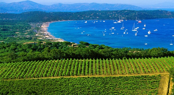 Routes des vins de Provence  Audioguide Historique
