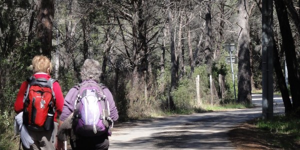 Chemin de Compostelle Puget-sur-Argens