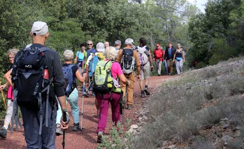 Chemin de Compostelle Dracénie Audioguide Historique