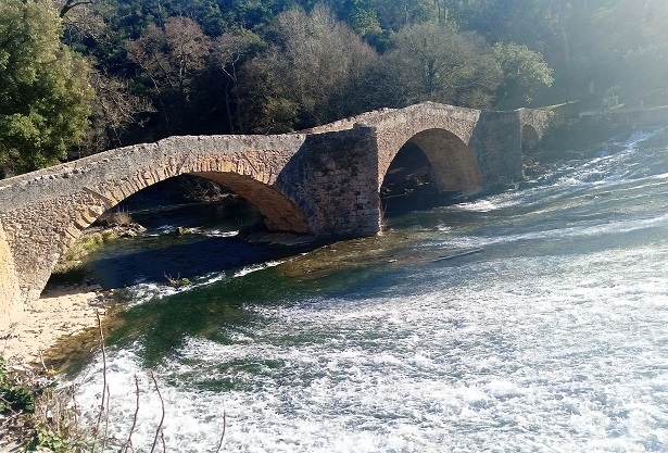 Chemin de Compostelle Vins sur Caramy