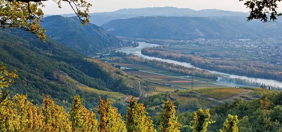 Route des vins Vallée du Rhône Nord