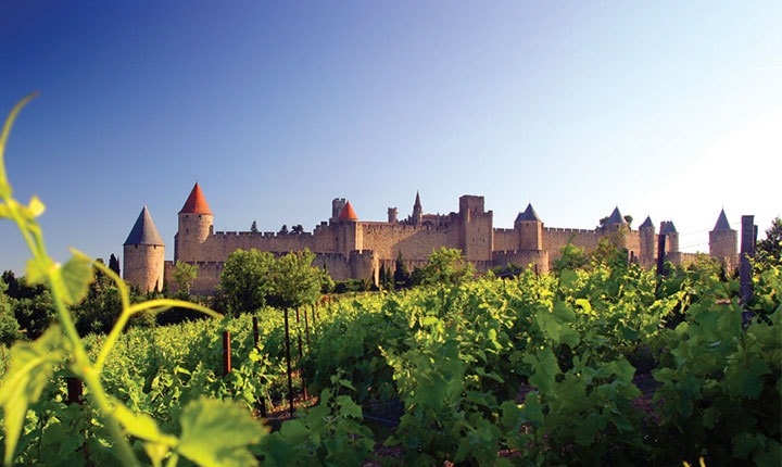 Route des vins du Languedoc