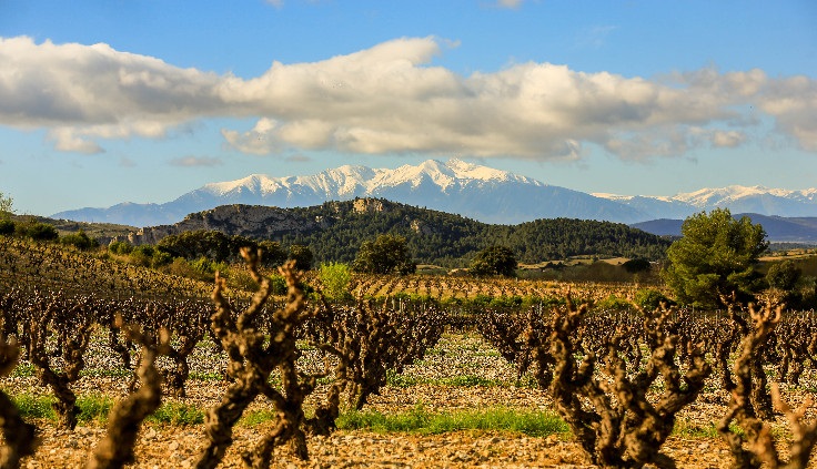 Route des vins du Roussillon