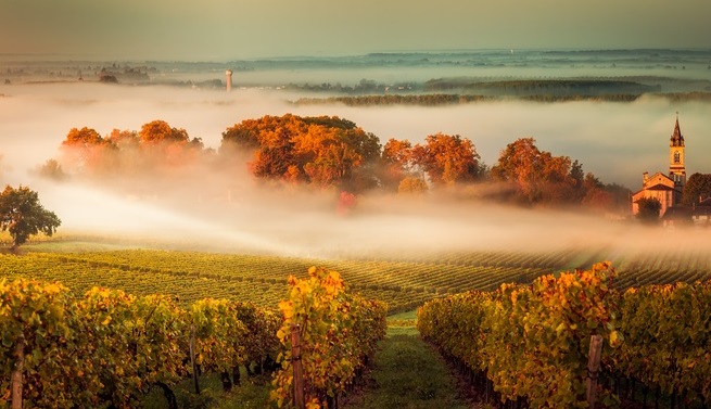 Route des vins du Sud-Ouest