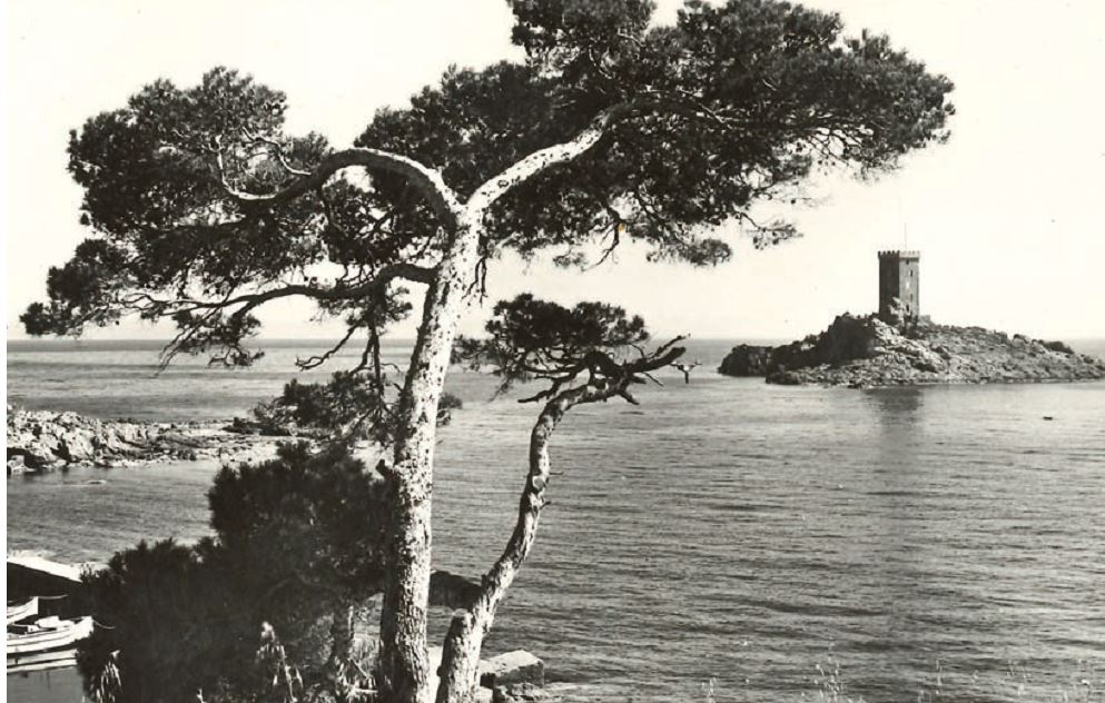 Het gouden eiland en de semafoor 